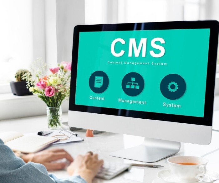 CMS Website Development Service in Ranchi with Admin Panel Control